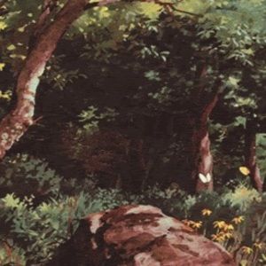 Meet your Posher, Alyse